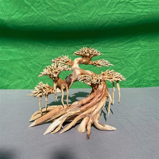 Aquarium Bonsai Driftwood Stump: Natural Aquascape Decor Branch Tree - Etsy