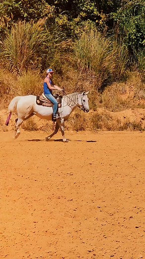 1M views · 60K reactions | This doesn't mean to sit around and do nothing though. You gotta get up and work at it... By doing so the opportunities will start pouring in. #luckyahorsemanship #horsetrainer #barrelhorse #dreamsdocometrue #truth | Lucky A Horsemanship | Facebook