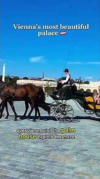 Schönbrunn Palace Vienna 🇦🇹 | Inside Austria’s Most Beautiful Imperial Palace