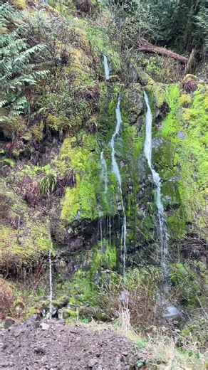 Our Ground Is SO Saturated… Waterfalls Are Appearing 😳💦