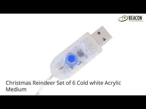 Christmas Reindeer Set of 6 Cold white Acrylic Medium