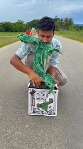 164K views · 596 reactions | Remote Control Inflatable Dinosaur Unboxing | Tripti Dimri | Facebook