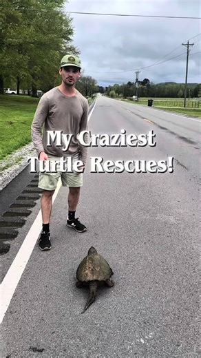 Check Out My Top 3 Craziest Turtle Rescues! #animals #nature #wildlife #turtle