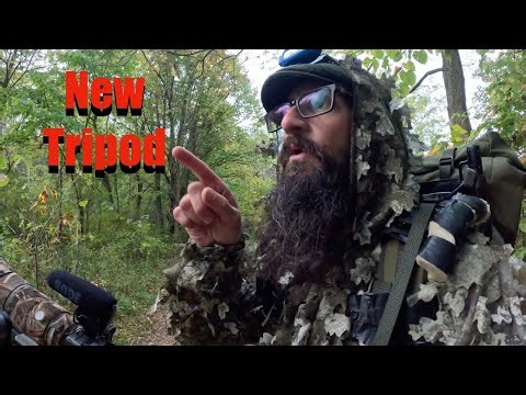 Gitzo Gimbal Head and Robus Tripod TEST