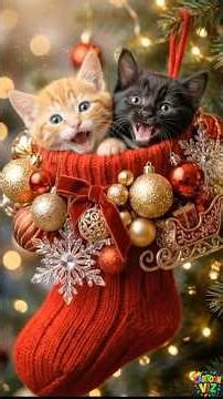 Cute Cats Spreading Christmas Joy: The Cutest Holiday Wishes Ever #cutecats #christmas #holidays