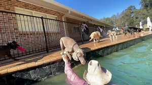 86K views · 9.3K reactions | You might say he has a funny way of...