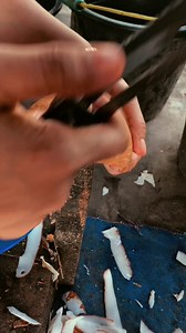 Konten Kupas Kelapa untuk Semua Orang - cara mudah dan cepat