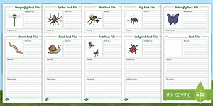 Minibeasts Fact File Sheets