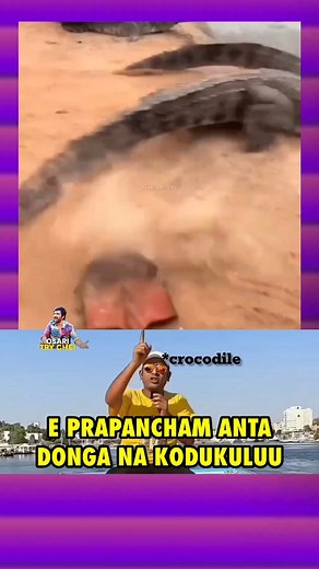 1.3K reactions · 5 comments | Orey papistoda 藍 #memes #trolls #updates #music #trending #reels #cute #baby #templates #ipl #prabhas #alluarjun #bramanandam #osaritrychei #cineflix #movies #folk @osari_try_chei | Osari try chei | Facebook