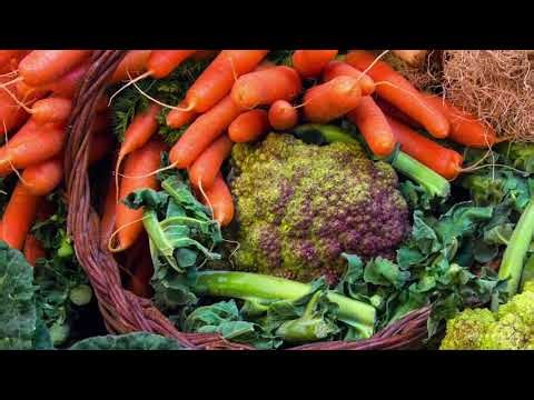 Vegan - behind the scenes, part 1