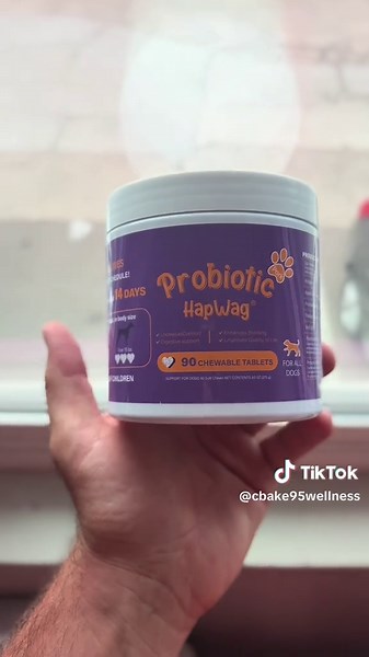 Improve Your Dog's Gut Health with Probiotics and Prebiotics