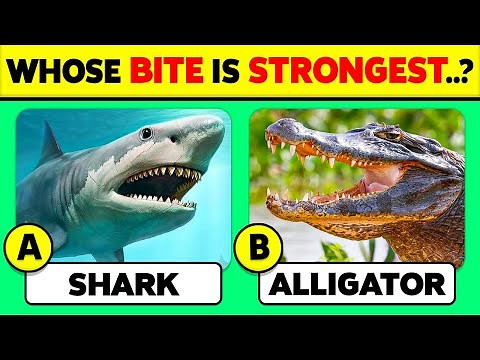 🧠 How Well Do You Know Animals? 🦁🦓✅ General Knowledge Trivia Quiz