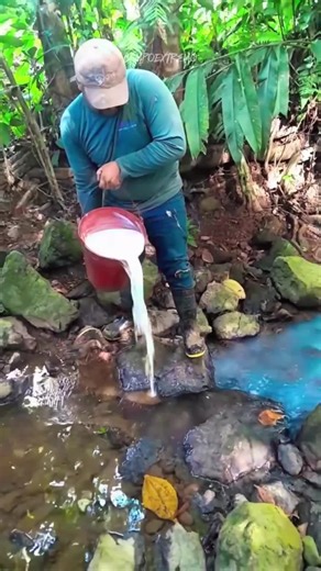El Mito de Tirar La Leche al Río