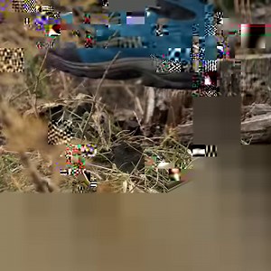 L’imperfezione fa parte di noi. Da qui nasce VAIA Cube Imperfetto, l’amplificatore recuperato dagli alberi abbattuti nel 2018 dalla tempesta Vaia e caduti nelle zone più impervie. Il legno di questi alberi è rimasto macchiato e noi da quelle piccole imperfezioni abbiamo deciso di dar vita a un Cube speciale e in serie limitata, che non lasci indietro nessuno e che racconti la sua storia, proprio a partire da quelle macchie. VAIA Cube imperfetto è un inno all’imperfezione, ma anche un inno alla r