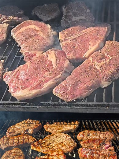 putting my skills to good use.