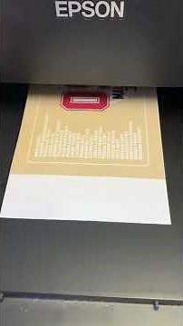 Borderless Printing on an Epson