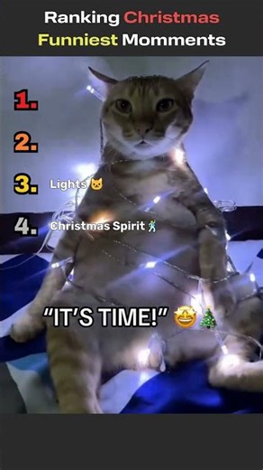 The plunger song goes crazy 🎄😮