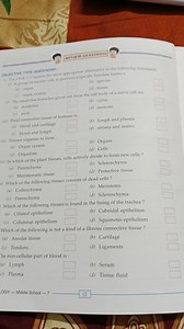 REVIEW QUESTIONS OBJECTIVE TYPE QUESTIONS : Put a tick (V) aga... | Filo