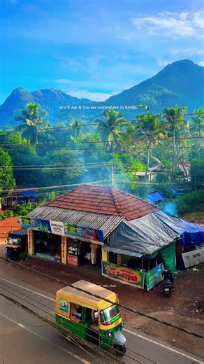 If peace had an address, it would be somewhere in Kerala.🌴😌 #kerala #godsowncountry #nature