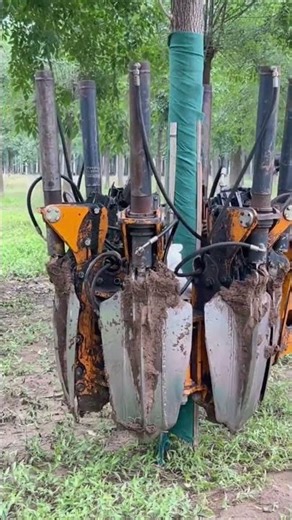 Amazing Tree Spade Machine in Action! 🌳"#machine#shorts