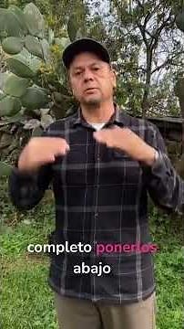 ¿Por qué tu audio no suena así? 🔊 Guía 4 Vías