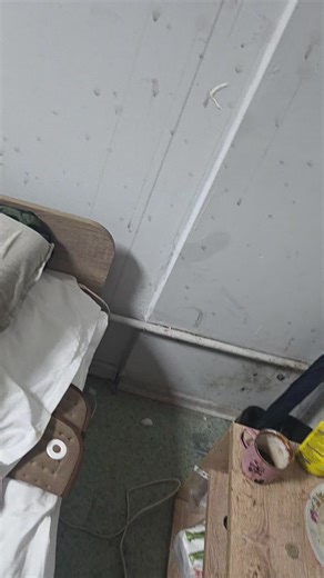 Notification (@dreadlocko123)’s videos with original sound - Notification