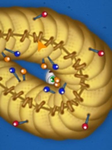 Worms Zone Snake Game: Experience Magic Slither Adventure