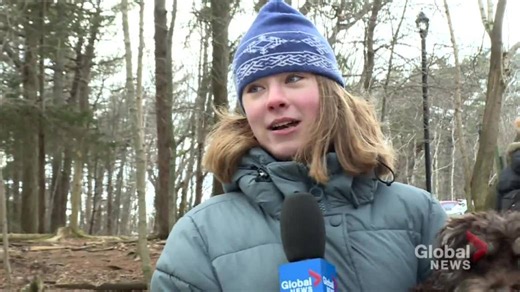 N.B. woman helps people find deeper connection with nature