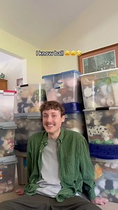 166K views · 3.5K reactions | You could say I’m a collector of many many things 藍 #webkinz | Chris Henrie | Facebook