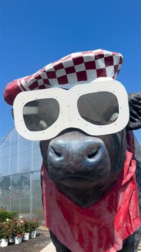 17 reactions | Good times at the farm! We love visiting @parsonsfarmsproduce 凜 #farm #cow #potato #cute #thebest | Big Idaho Potato Tour | Facebook