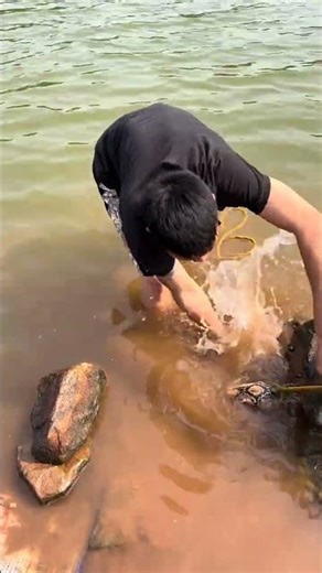 Unleashing the Mastery of Lu Ya: A Wild Journey