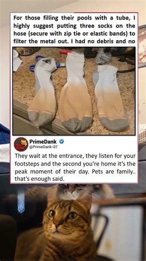 Budget pool filter actually works 🏊‍♂️ | funny memes | relatable American memes | dank memes