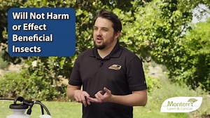 Monterey BT - Ready to Spray Bacillus Thuringiensis for Organic Worm and Caterpillar Control - 31oz