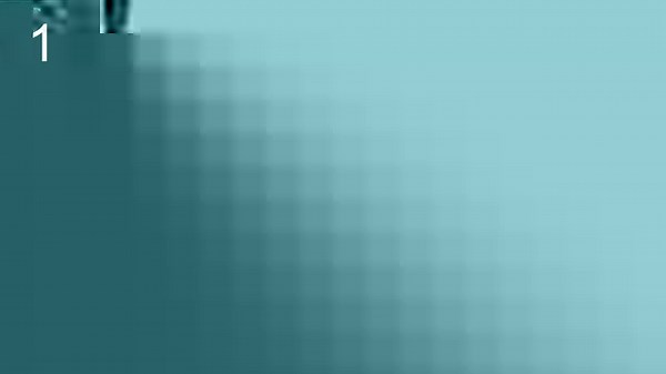 20K views · 135 reactions | On #SquirrelAppreciationDay, check out a 2021 Science study that revealed how decision-making and learning capabilities complement the biomechanical adaptations that enable "squirrel parkour." https://scim.ag/40H1CmT | Science | Facebook