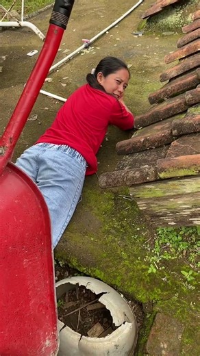 Naik argo #funny #comedy #ngkak #reels #memengakakkocak