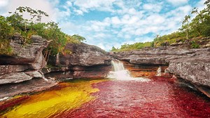 Caño Cristales is a beautiful and unique river located in Colombia. The river is often referred to as the "River of Five Colors" or the "Liquid Rainbow," and is very well-known for its striking and a variety of vibrant colors. Depending on the season and time of year, the colors change due to the type of rock that makes up the entire bed. This might be the most beautiful river in the world. Video courtesy of The Weather Channel | Yangon Life