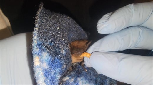 3.3K views · 200 reactions | There's just something special about...