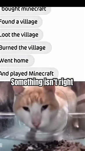 Cat realization meme #shorts #meme #cat #fyp #funny