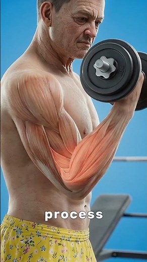 Age Doesn’t Stop Muscle Growth