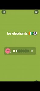 Les éléphants de Côte d’Ivoire 🇨🇮⚽ : symbole national