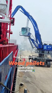 #Loading #unloading #bulkcarriervessel #seamanslifeonboard #bulkcarrier #buhaymarino #buhayabroad #BuhayOFW #SEAMAN #seamanlife #seamandaragat @highlight @followers @ | Viano Bubhoi Tolentin