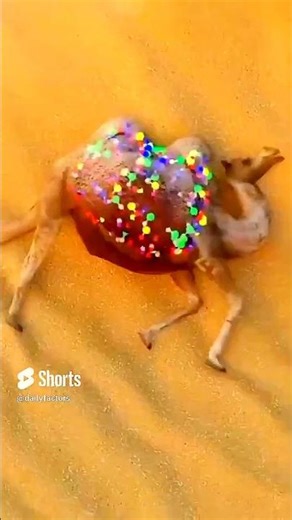 Why Dead Camels Explode: The Science of a Desert Time Bomb #shorts #tamil #tamilvoiceover #twinfacts