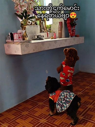 မနက်မိုးလင်းနဲ့ အလုပ်လုပ်ခြင်းအား ခံစားခြင်း