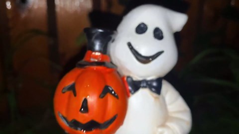 Halloween Solar Lights Outdoor Waterproof, Raven on Skull Solar Pathway Lights, Weather Resistant, Spooky Garden Decor for Patio, Yard, Porch