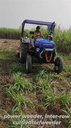 Tractor operate Row weeder soil tilling.#agriculture #farming #trending