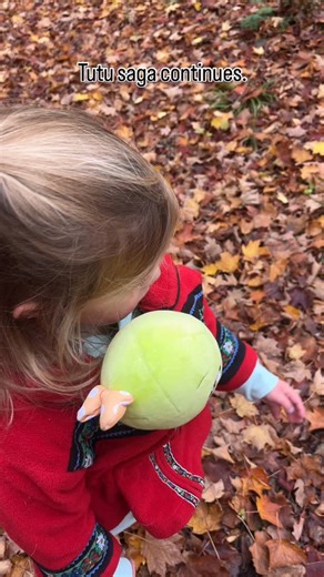 118 reactions · 19 comments | Maple Hill Farm - Barton, Vermont on Reels | Facebook