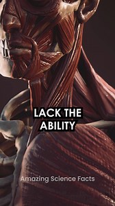 9.9K views · 17 reactions | Why Human Teeth Can't Heal Themselves! #teeth #tooth #healing #enamel #tissue #science #sciencefacts #amazingsciencefacts | Amazing Science Facts | Facebook