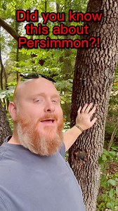 Can #persimmon predict the weather?! #firewood #trees #learn #knowledge #information | Foothills Firewood BrittandLeah