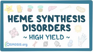 Heme synthesis disorders: Pathology review: Video, Causes, & Meaning | Osmosis