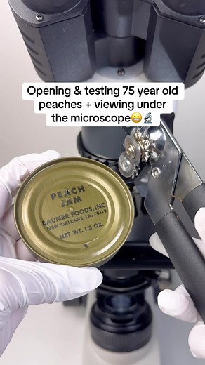 Exploring 1000-Year-Old Peaches Under a Microscope